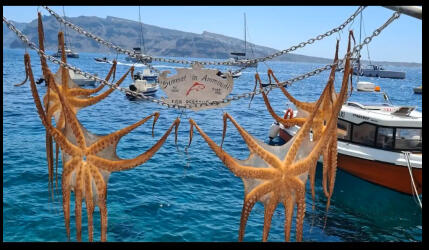 Navegantes por el Mediterraneo